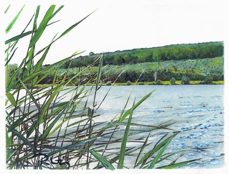 plan d'eau